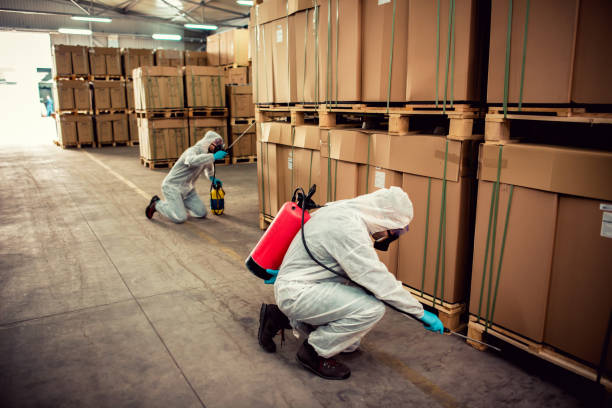 Best Pest Inspection Near Me  in Attla, AL