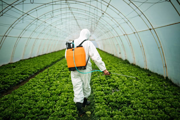 Best Affordable Pest Control Services  in Attla, AL