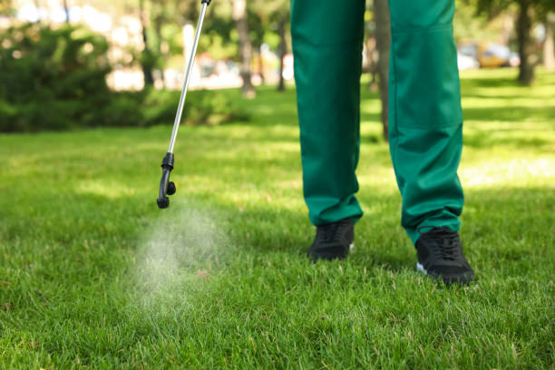 Best Pest Control Near Me  in Attla, AL