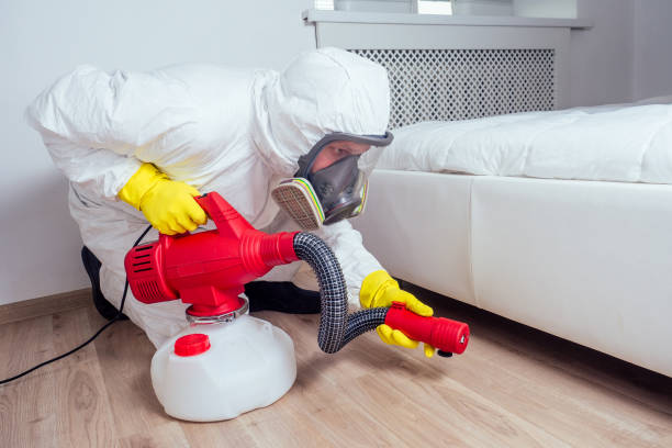 Best Mosquito Control Services  in Attla, AL