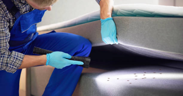 Best Pest Removal Services  in Attla, AL