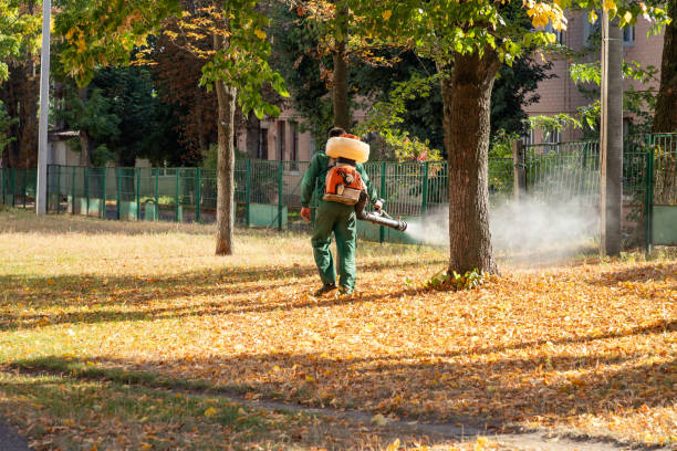 Best Wildlife Control Services  in Attla, AL